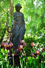 Schaugarten Saubergen Familie Österreicher Bad Pirawarth Der Garten im Mai Mädchenfigur mit Bart-Iris